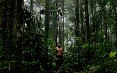 Film „The Borneo Case“ am 18. Oktober
